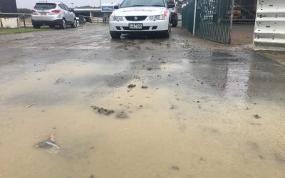 Avalon Raceway – Tonight Cancelled 13th Jan.