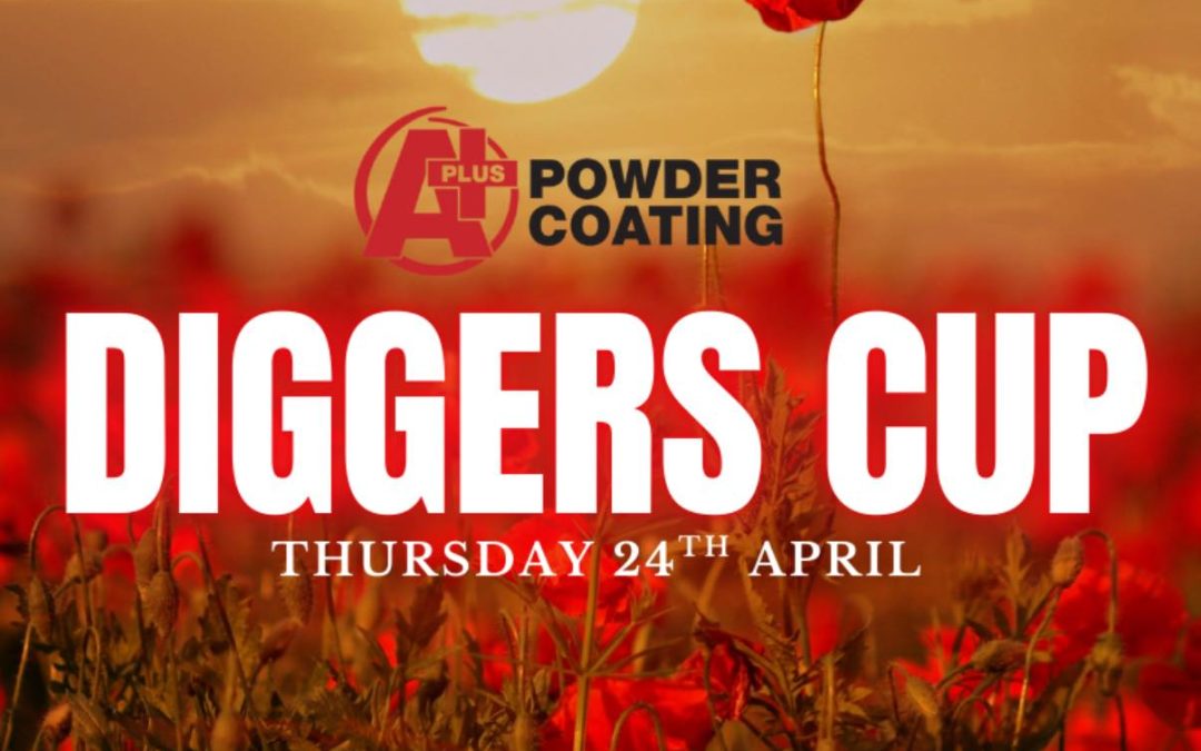 DIGGERS CUP 2025